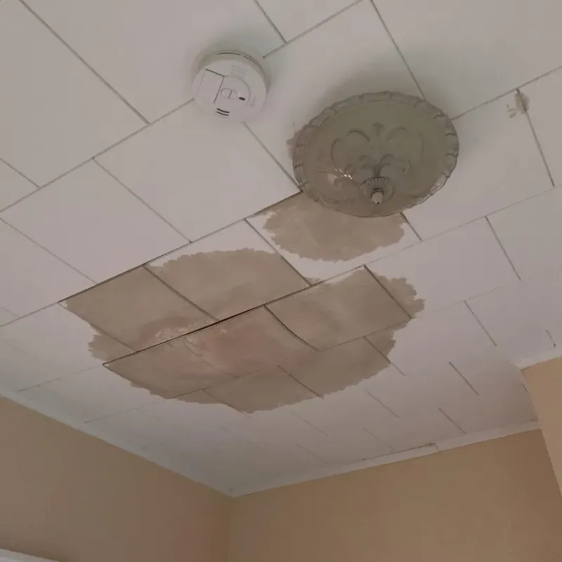 Ceiling Water Damage Repair in Grinnell, IA