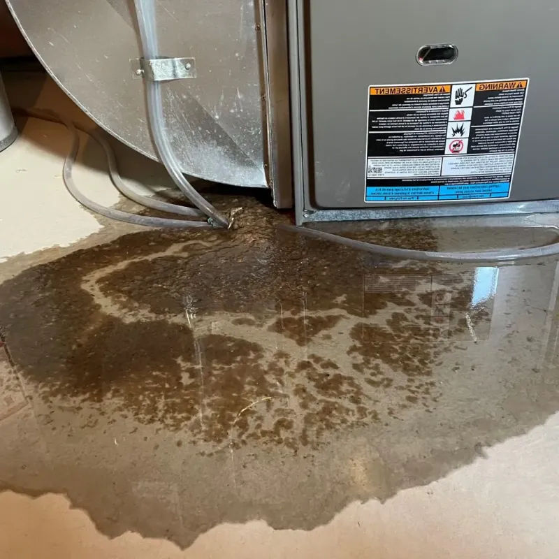 Pipe Burst and Leak Restoration in Grinnell, IA