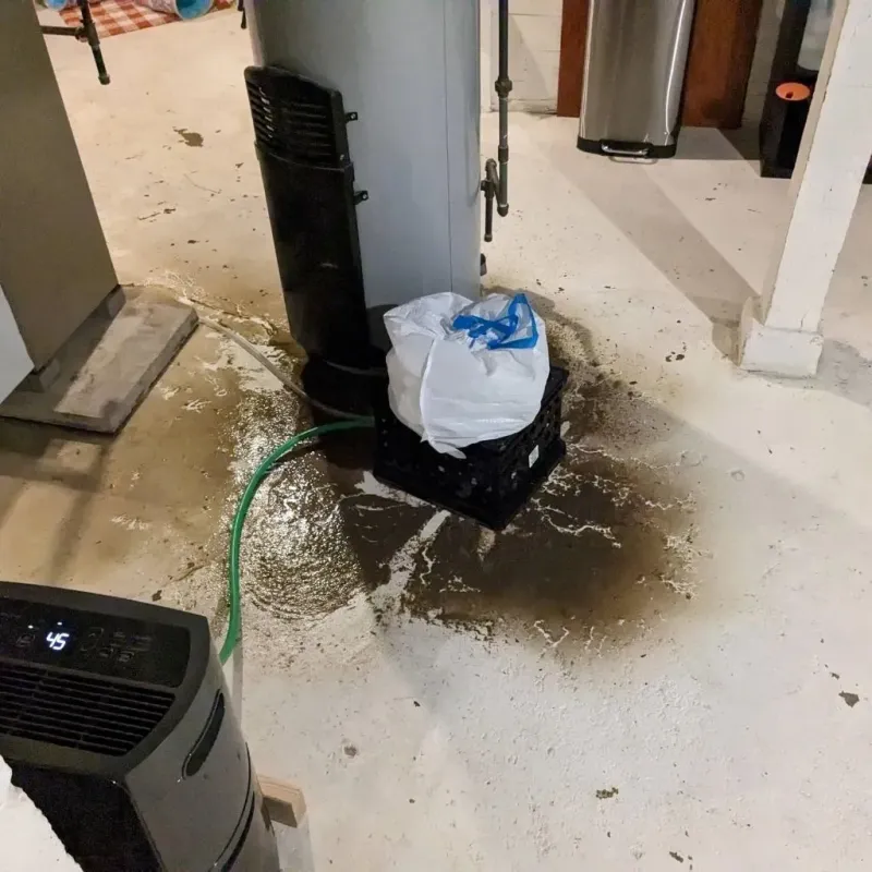 Sewage Backup Cleanup Service in Grinnell, IA